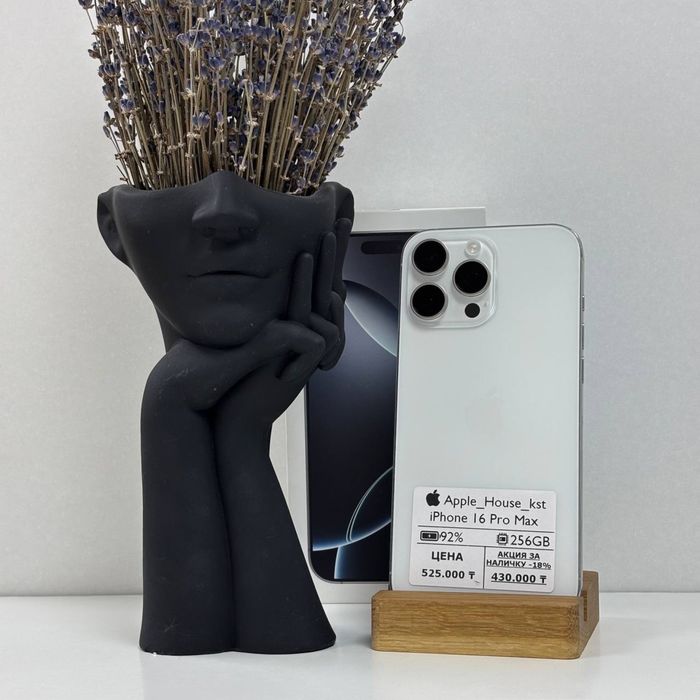 iPhone 16 Pro Max, 256гб