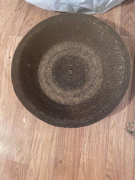 Бесплатно отдам кошка