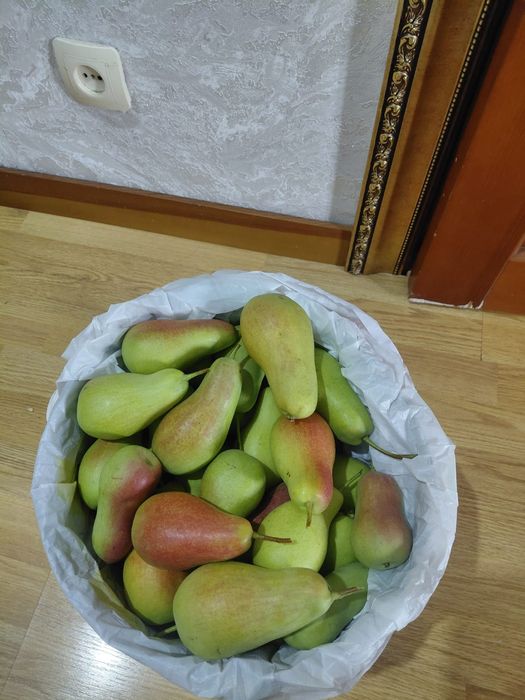 Продам яблоки и груши