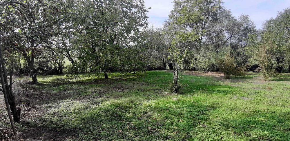 Продава се Парцел в с. Васил Левски, Област Търговище - 1000 кв.м за 21 €/кв.м - Снимка #1