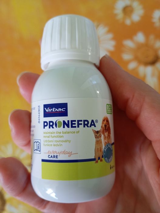 Пронефра/Pronefra