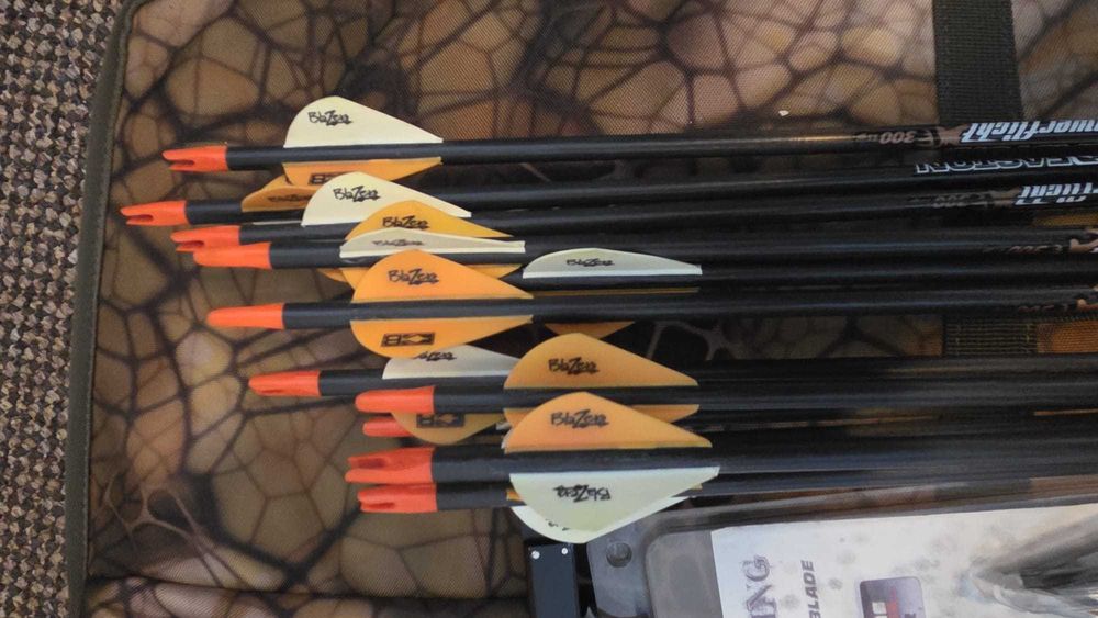 Pachet complet arc compound Bowtech Carbon Icon + accesorii
