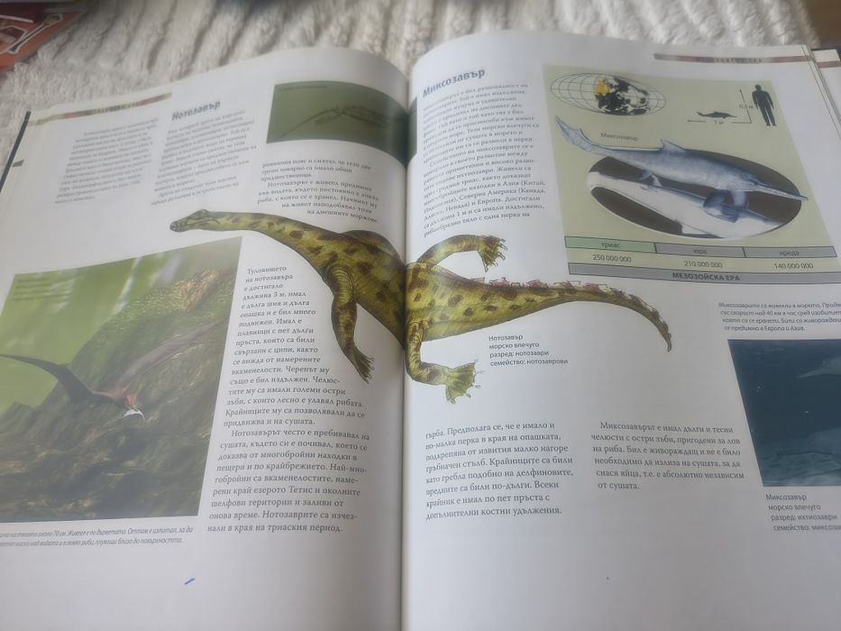 Лот 2 книги за Динозаврите