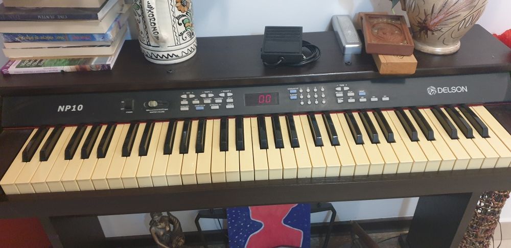 Pian electric Delson