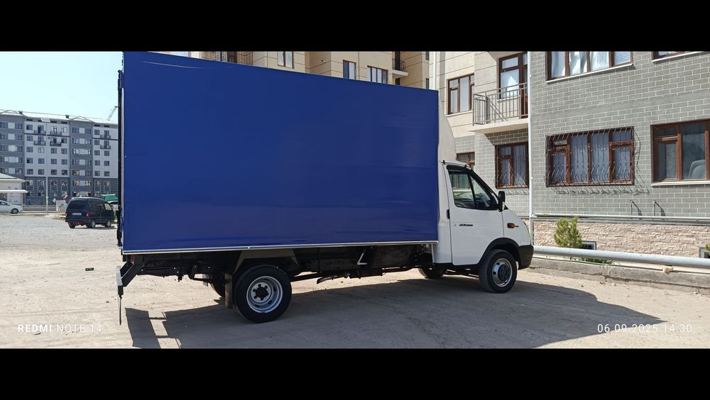 Gazel tentli sotiladi. 2012