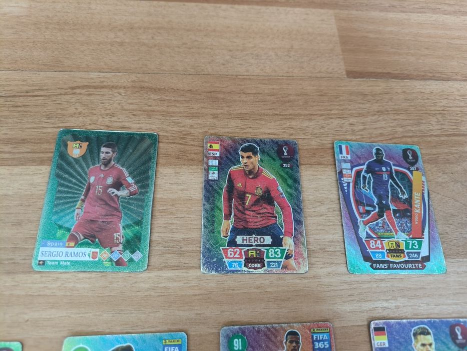 Пакемон кеткалари