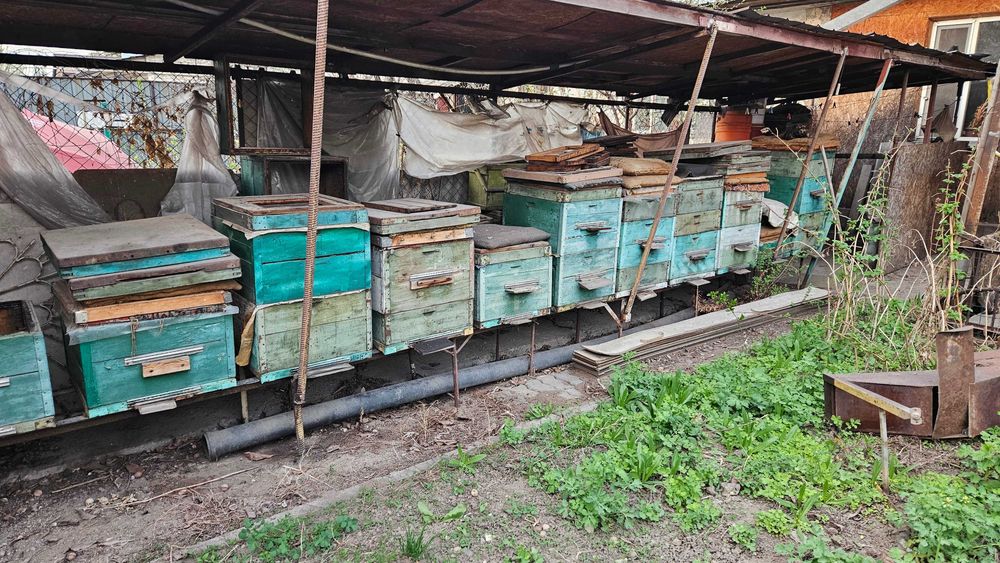 Улья для пчёл б/у