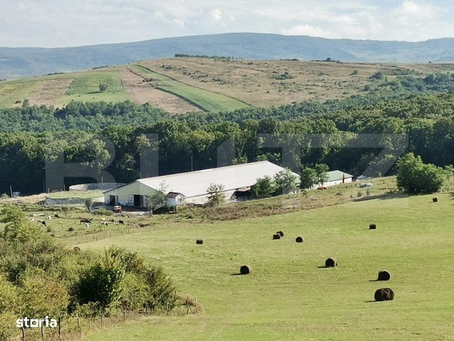 Hale si teren ,curte betonata , destinatii multiple