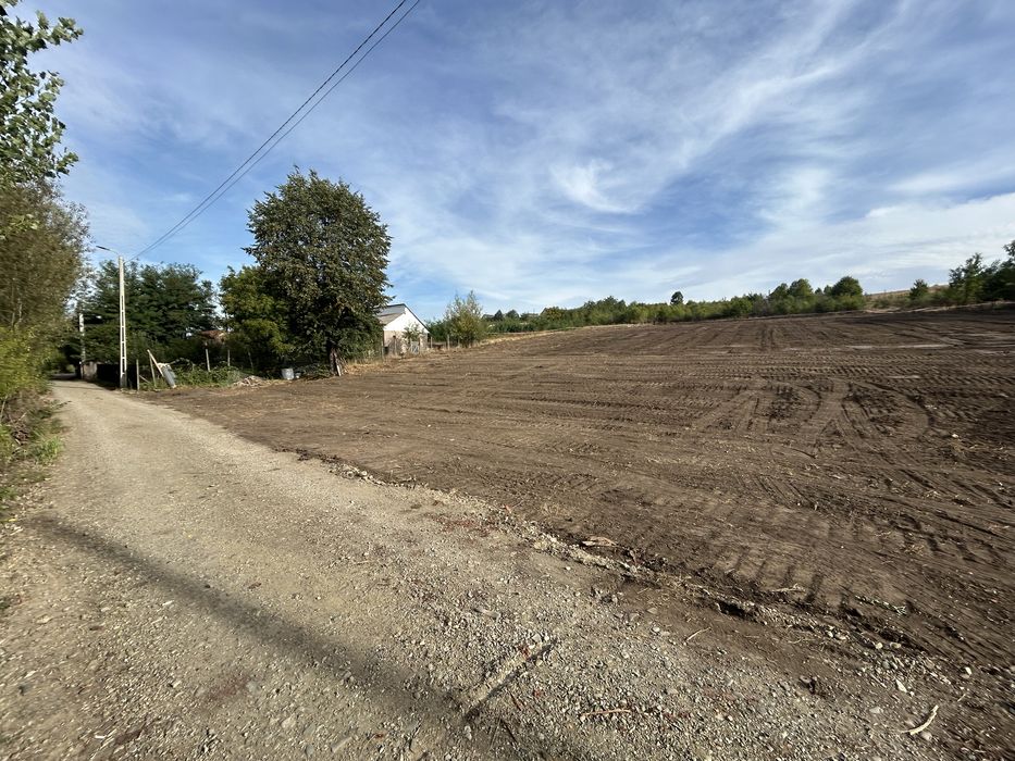 Teren intravilan pe malul iazului