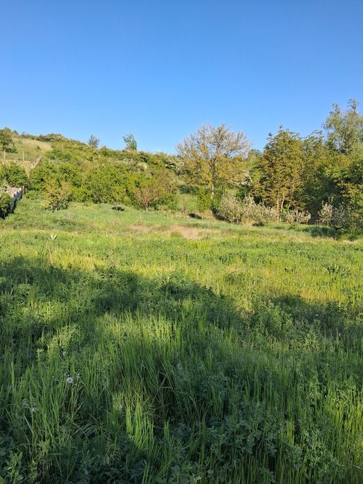 Se vinde sat Petrisi