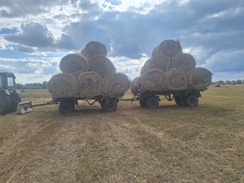 Сено в рулоне 300-350кг