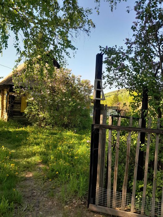 Продам дачу в живописном, экологически чистом месте.