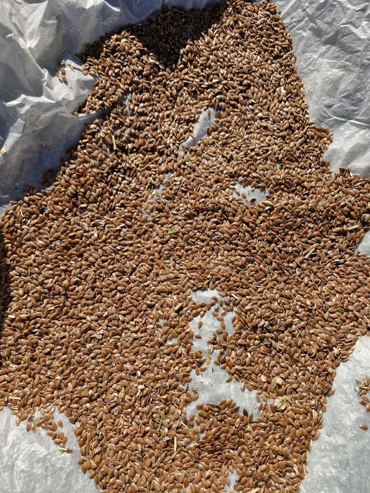 Продется лен от кх с места