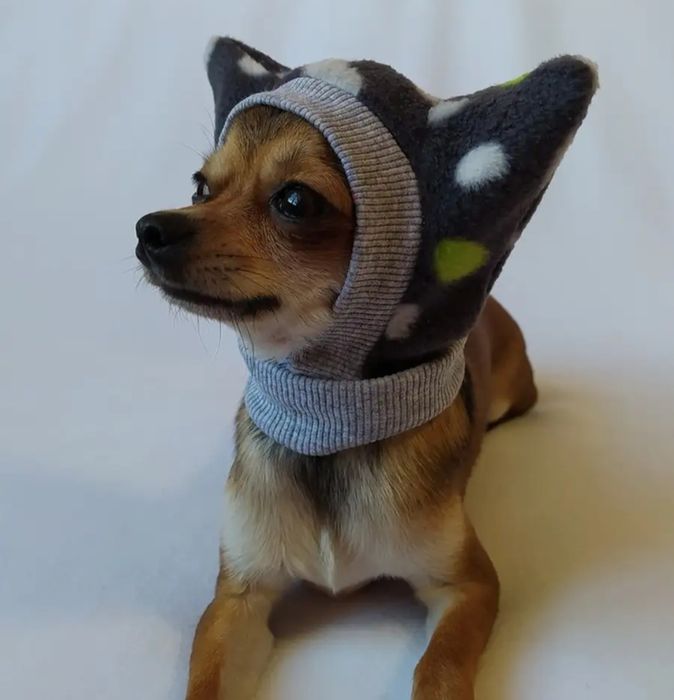 Шапочка для собаки