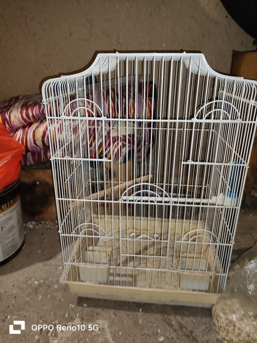 Продаётся клетка для больших попугаев