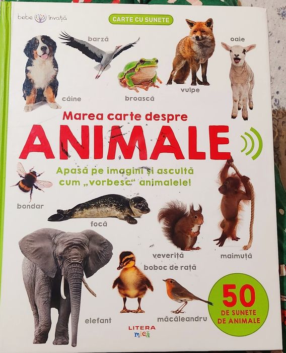 Lot cărți  educative cu sunete