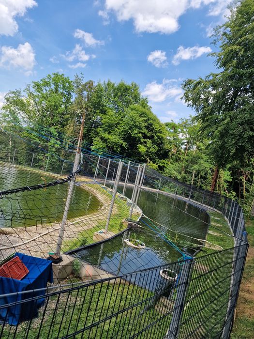 Plasă de protecție pentru voleia pasari animale