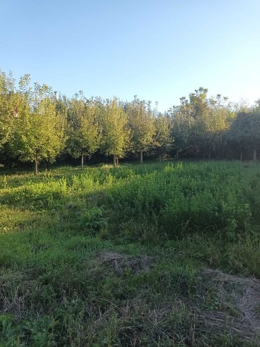 Casă de vânzare in Brașov Stupini cu teren de 1891mp.Proprietar.