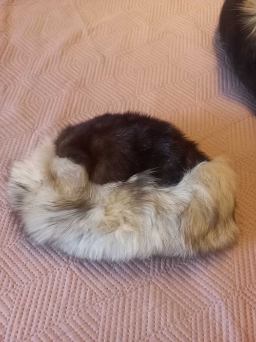 Caciula blana naturala vulpe argintie pe margine