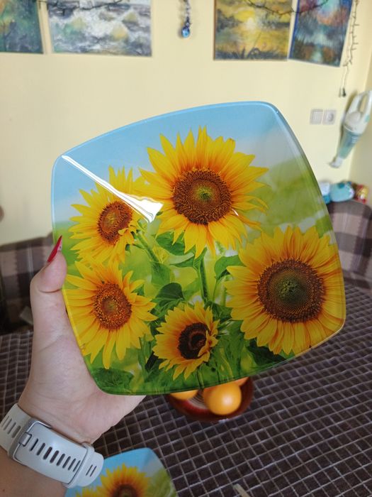 Купа на слънчогледи