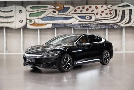 Дверь для Byd Han