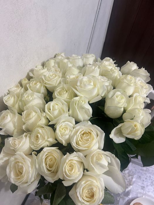 Белые розы свежий 51шт