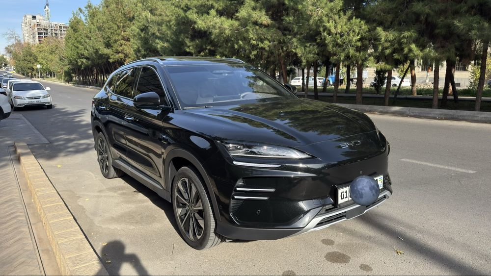 Byd champion smart 2025