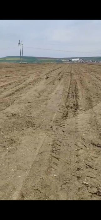 Teren extravilan parc industrial Miroslava 2,5 hectare în loturi