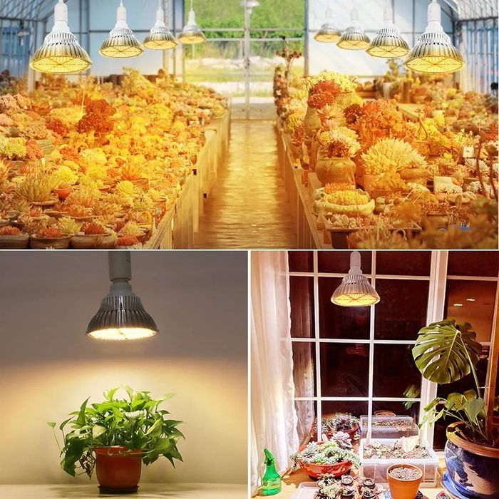 Set 2 becuri grow light plante 120w e27