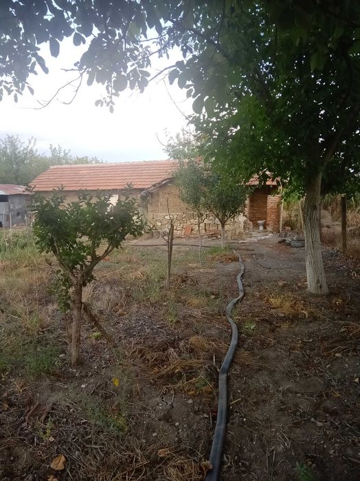 Продава се Парцел в с. Белозем, Област Пловдив - 1160 кв.м за 8 €/кв.м - Снимка #5