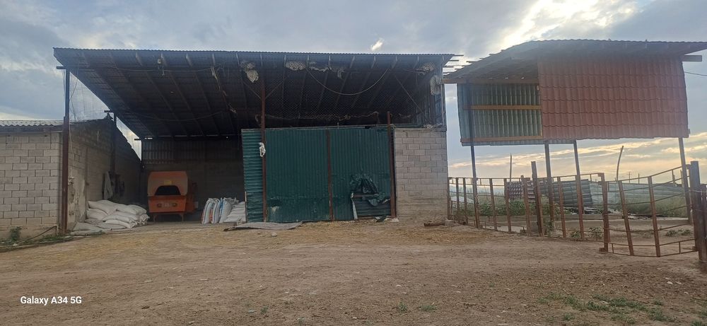 Откорм сатылады 200 бас