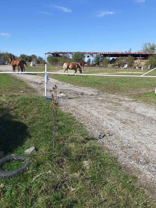 Продава се Парцел в с. Иваняне, Област София-град - 1858 кв.м за 40 €/кв.м - Снимка #1