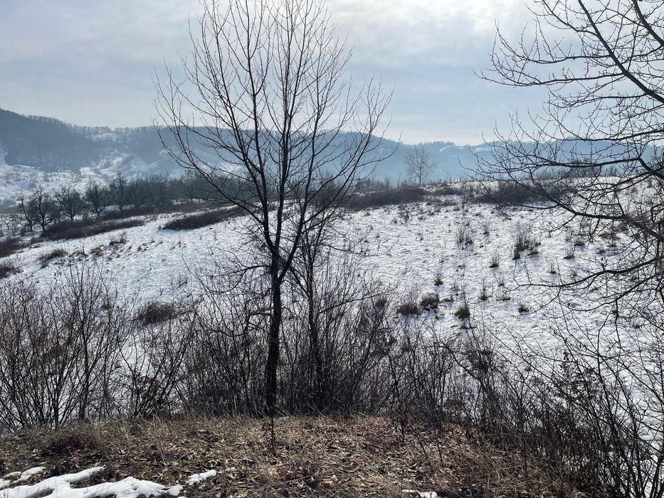 Teren intravilan 60000 mp Raul Alb