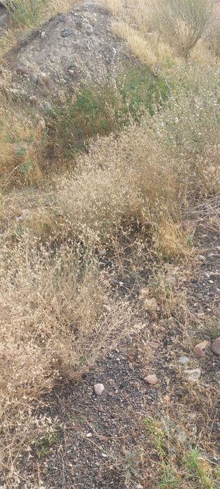 Отдам бесплатно грунт самовывоз