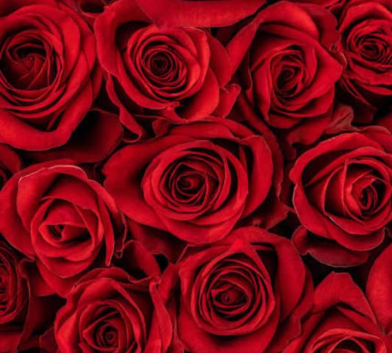 Доставка цветов Гулдер