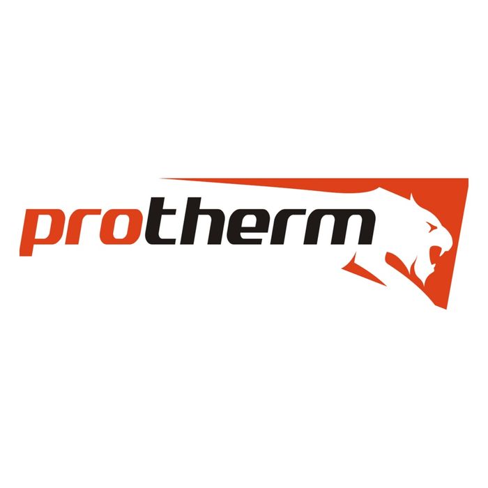 Ремонт Газовых Котлов