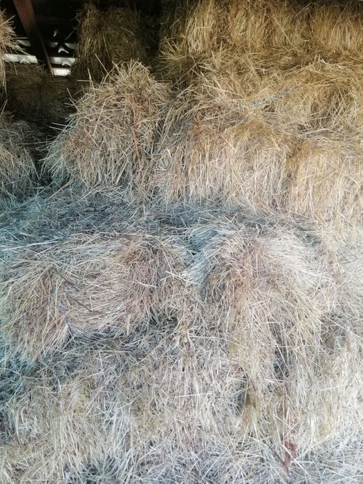 Baloti de fan, de vanzare