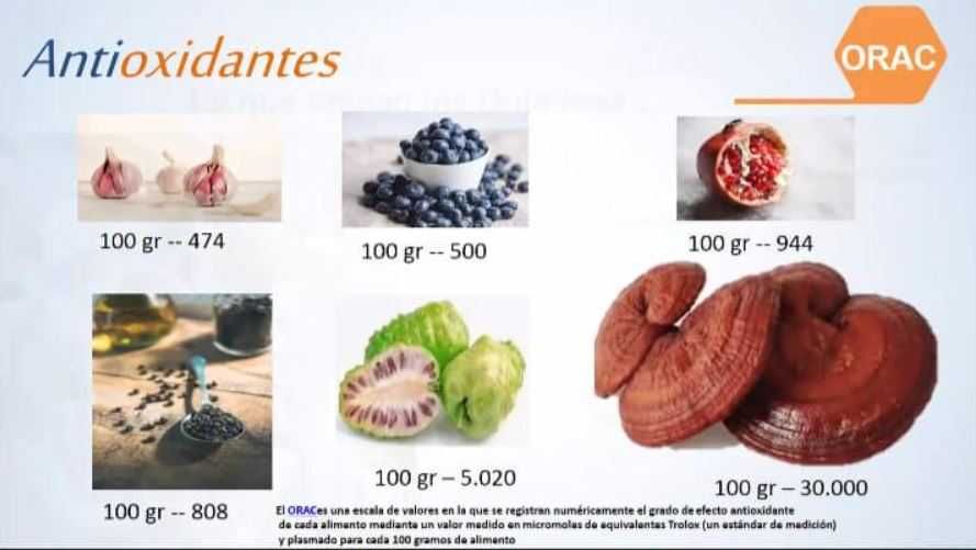 Запишете към успешна мрежа. Назначете сам себе си за шеф на живота си!