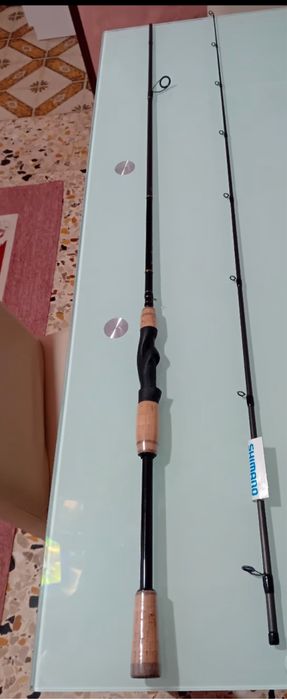 Shimano beestmaster FX 2,10 m
