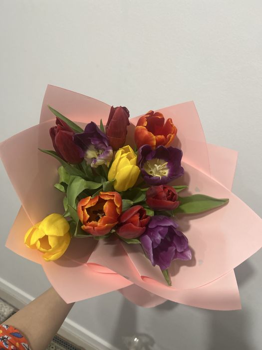 Цветы тульпан қызылорда