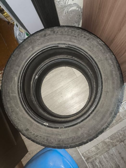 Продам 2 шины cardiant