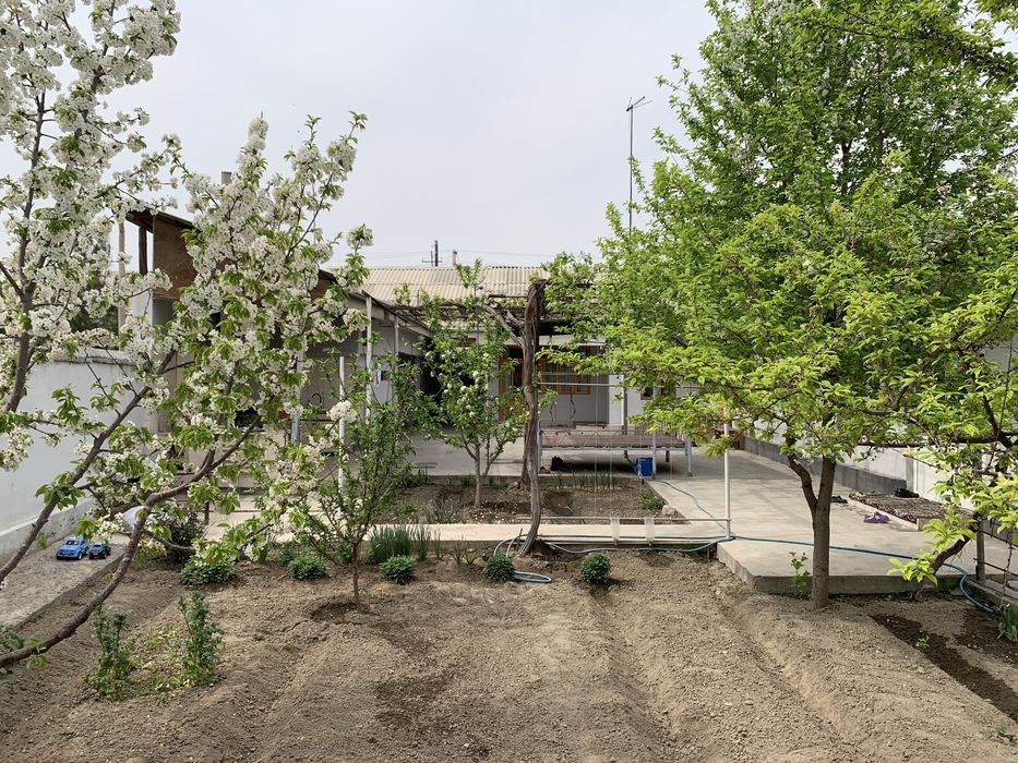 Ховли уй сотилади