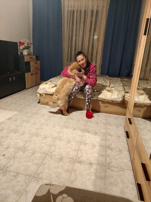 Продавам Чао  Чао