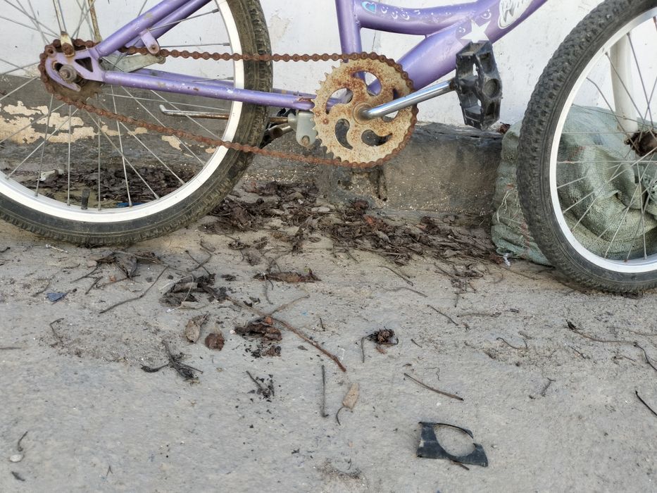 Велик сатлады арзан бағада