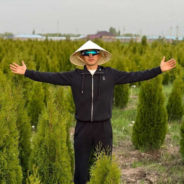 Газон рулонный живой туи ели озеленение участка Алматы z16