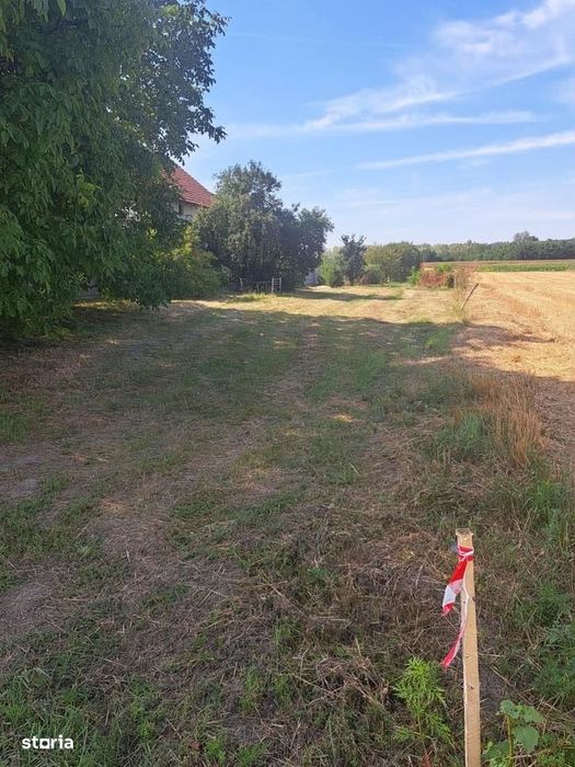 3 parcele de vanzare , zona Martinesti , 6 ARI parcela , 25.000 euro .