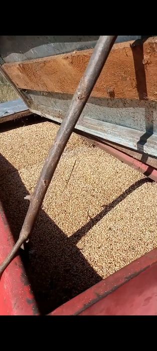 Vând Combaină Massey Ferguson