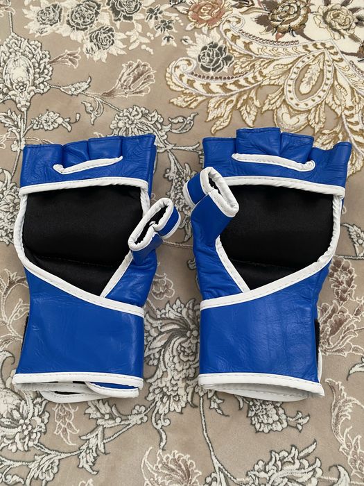 Ufc, MMA,Sambo perchatkasi