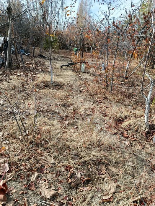 Земельный участок, 6 соток