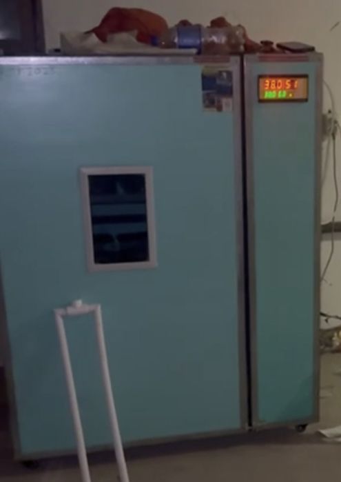 Инкубатор сатылады,